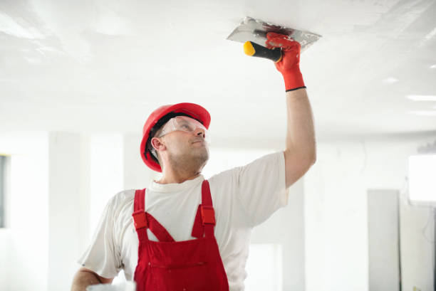 Best Interior Painting  in Country Knolls, NY